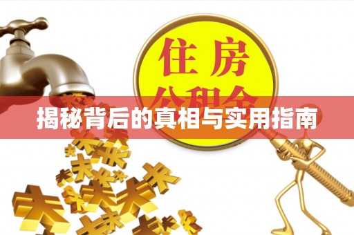 石龙揭秘背后的真相与实用指南