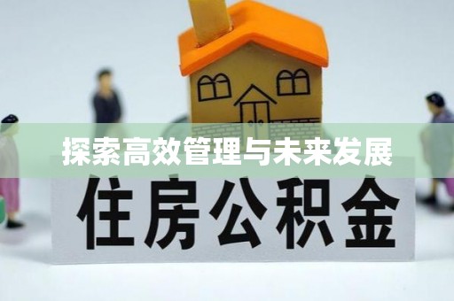 石龙探索高效管理与未来发展