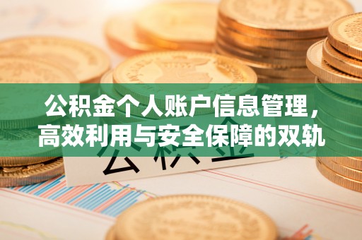 石龙公积金个人账户信息管理，高效利用与安全保障的双轨并行