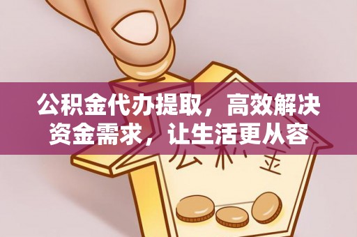 石龙公积金代办提取，高效解决资金需求，让生活更从容