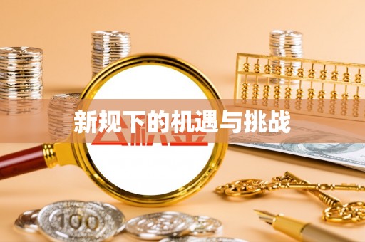 石龙新规下的机遇与挑战