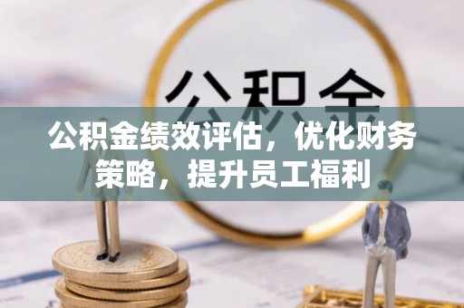 石龙公积金绩效评估，优化财务策略，提升员工福利