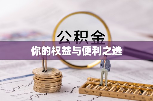 石龙你的权益与便利之选