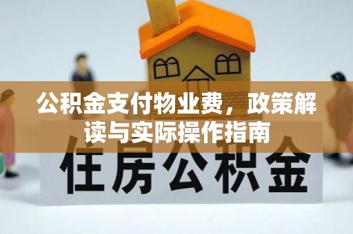 石龙公积金支付物业费，政策解读与实际操作指南
