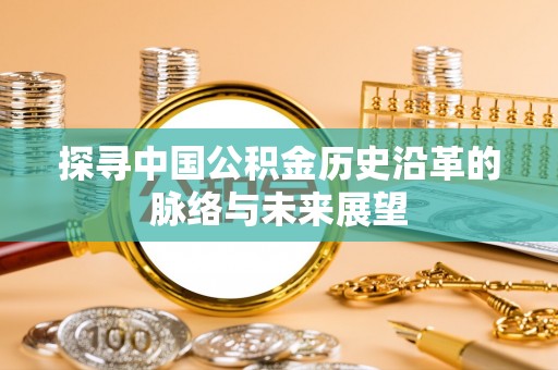 石龙探寻中国公积金历史沿革的脉络与未来展望