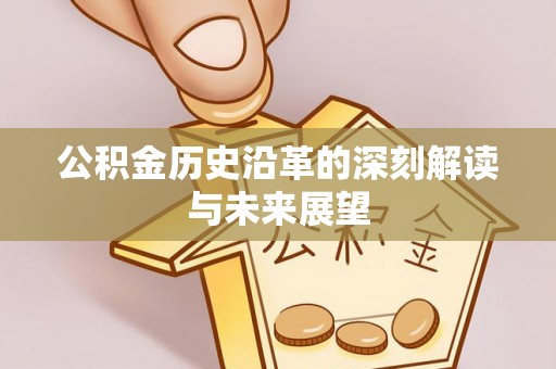 石龙公积金历史沿革的深刻解读与未来展望