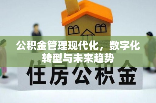 石龙公积金管理现代化，数字化转型与未来趋势