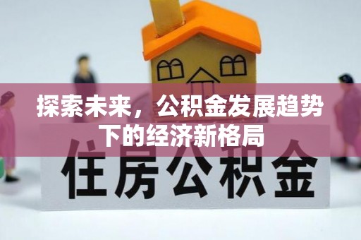 石龙探索未来，公积金发展趋势下的经济新格局