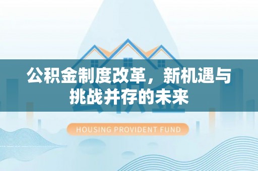 石龙公积金制度改革，新机遇与挑战并存的未来
