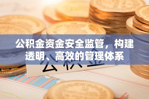 石龙公积金资金安全监管，构建透明、高效的管理体系