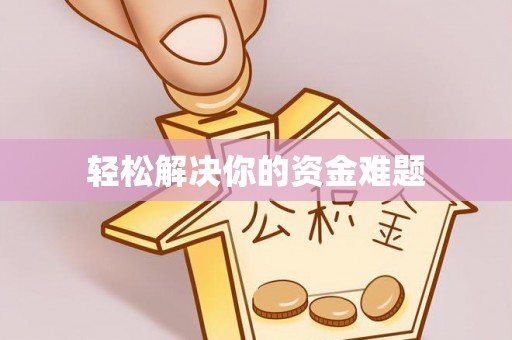 石龙轻松解决你的资金难题