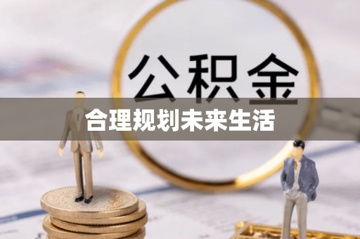 石龙合理规划未来生活