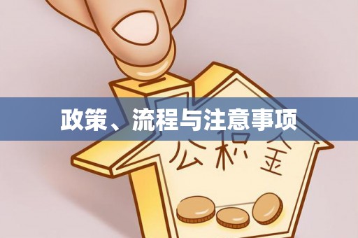 石龙政策、流程与注意事项