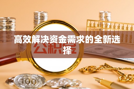 石龙高效解决资金需求的全新选择