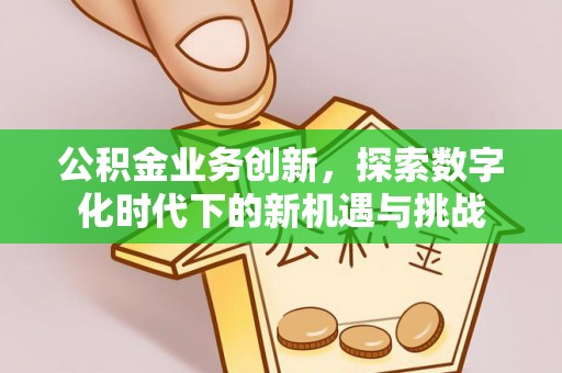 石龙公积金业务创新，探索数字化时代下的新机遇与挑战