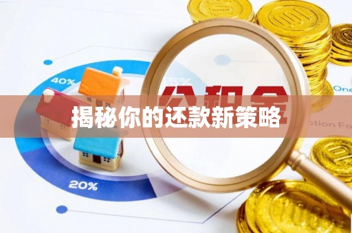 石龙揭秘你的还款新策略