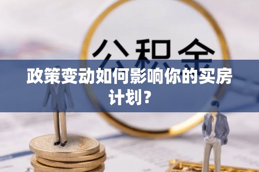 石龙政策变动如何影响你的买房计划？