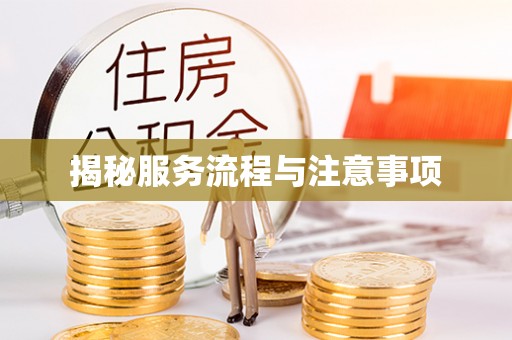 石龙揭秘服务流程与注意事项