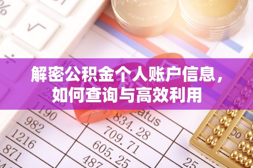 石龙解密公积金个人账户信息，如何查询与高效利用