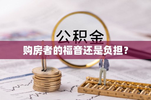 石龙购房者的福音还是负担？
