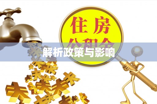 石龙解析政策与影响