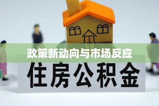 石龙政策新动向与市场反应