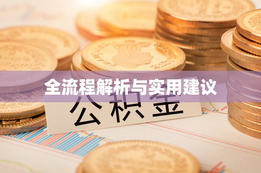 石龙全流程解析与实用建议