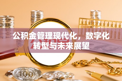 石龙公积金管理现代化，数字化转型与未来展望