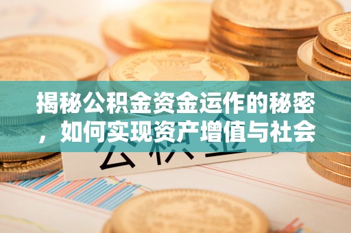 石龙揭秘公积金资金运作的秘密，如何实现资产增值与社会福利双赢？
