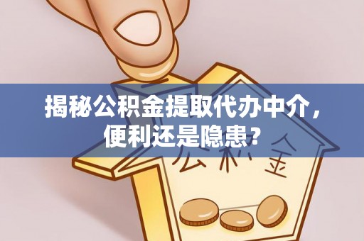 石龙揭秘公积金提取代办中介，便利还是隐患？