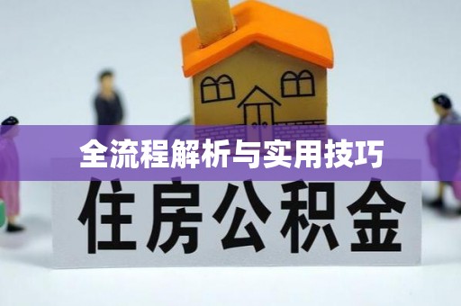 石龙全流程解析与实用技巧