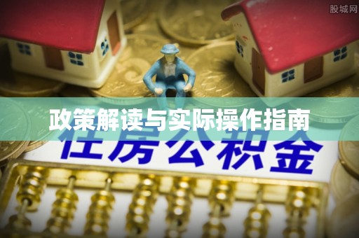 石龙政策解读与实际操作指南