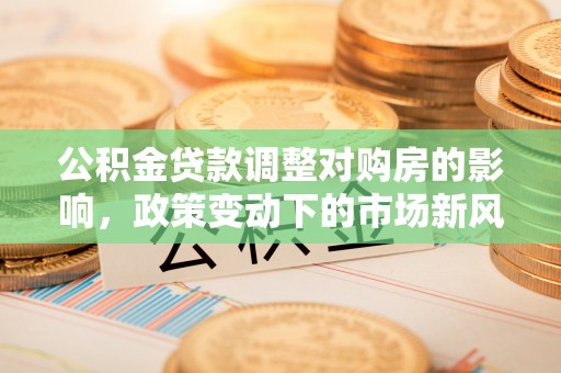 石龙公积金贷款调整对购房的影响，政策变动下的市场新风向