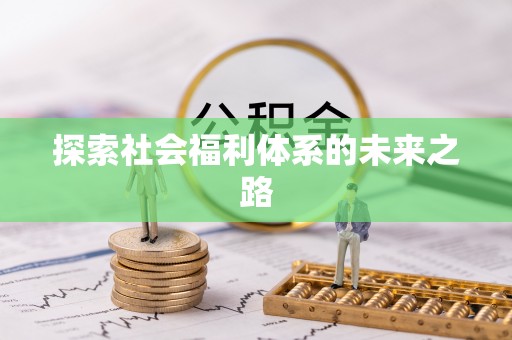 石龙探索社会福利体系的未来之路
