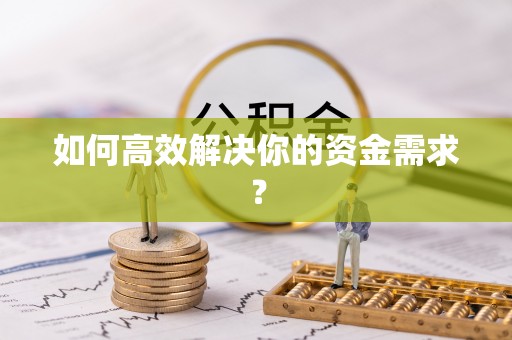 石龙如何高效解决你的资金需求？