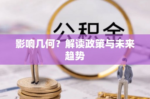 石龙影响几何？解读政策与未来趋势