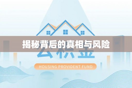 石龙揭秘背后的真相与风险