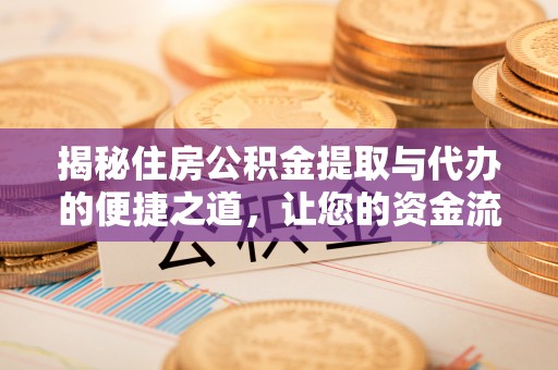 石龙揭秘住房公积金提取与代办的便捷之道，让您的资金流动更高效