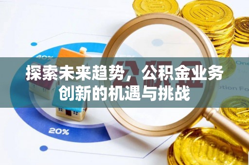 石龙探索未来趋势，公积金业务创新的机遇与挑战