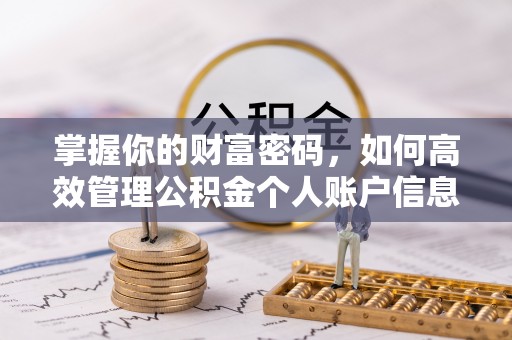石龙掌握你的财富密码，如何高效管理公积金个人账户信息