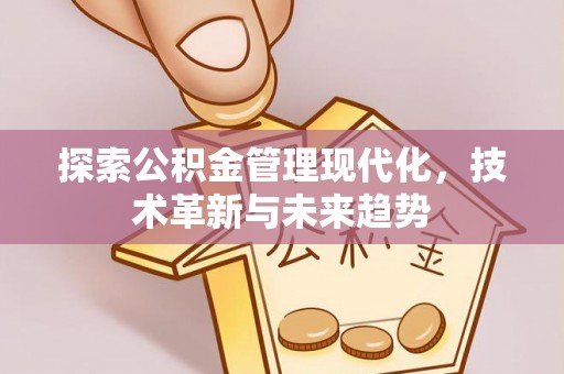 石龙探索公积金管理现代化，技术革新与未来趋势
