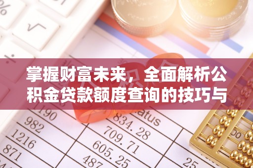 石龙掌握财富未来，全面解析公积金贷款额度查询的技巧与策略