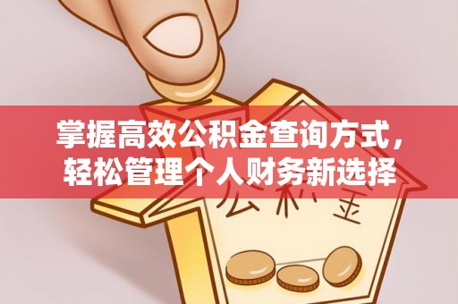 石龙掌握高效公积金查询方式，轻松管理个人财务新选择
