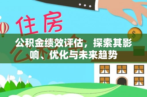 石龙公积金绩效评估，探索其影响、优化与未来趋势