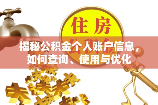 石龙揭秘公积金个人账户信息，如何查询、使用与优化