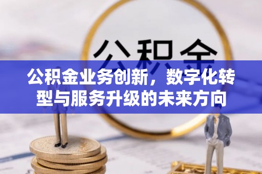 石龙公积金业务创新，数字化转型与服务升级的未来方向