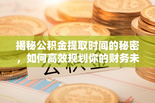 石龙揭秘公积金提取时间的秘密，如何高效规划你的财务未来