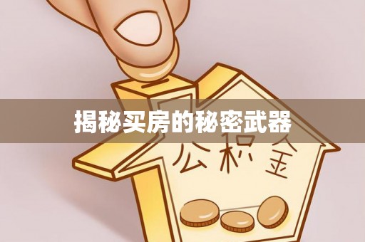 石龙揭秘买房的秘密武器
