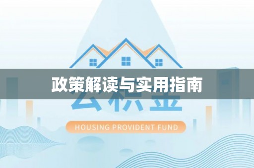 石龙政策解读与实用指南