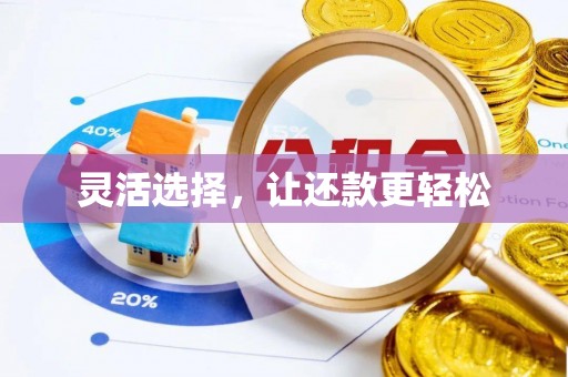 石龙灵活选择，让还款更轻松
